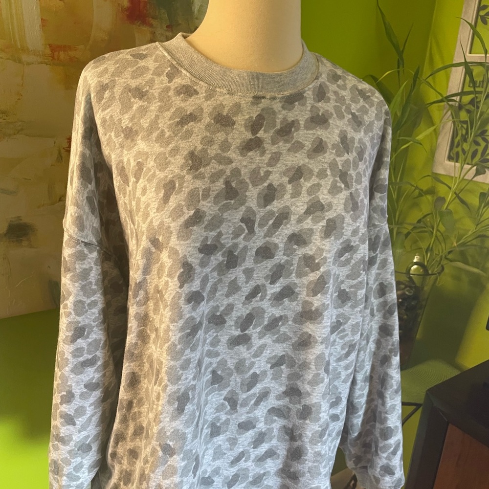 Aerie sweatshirt